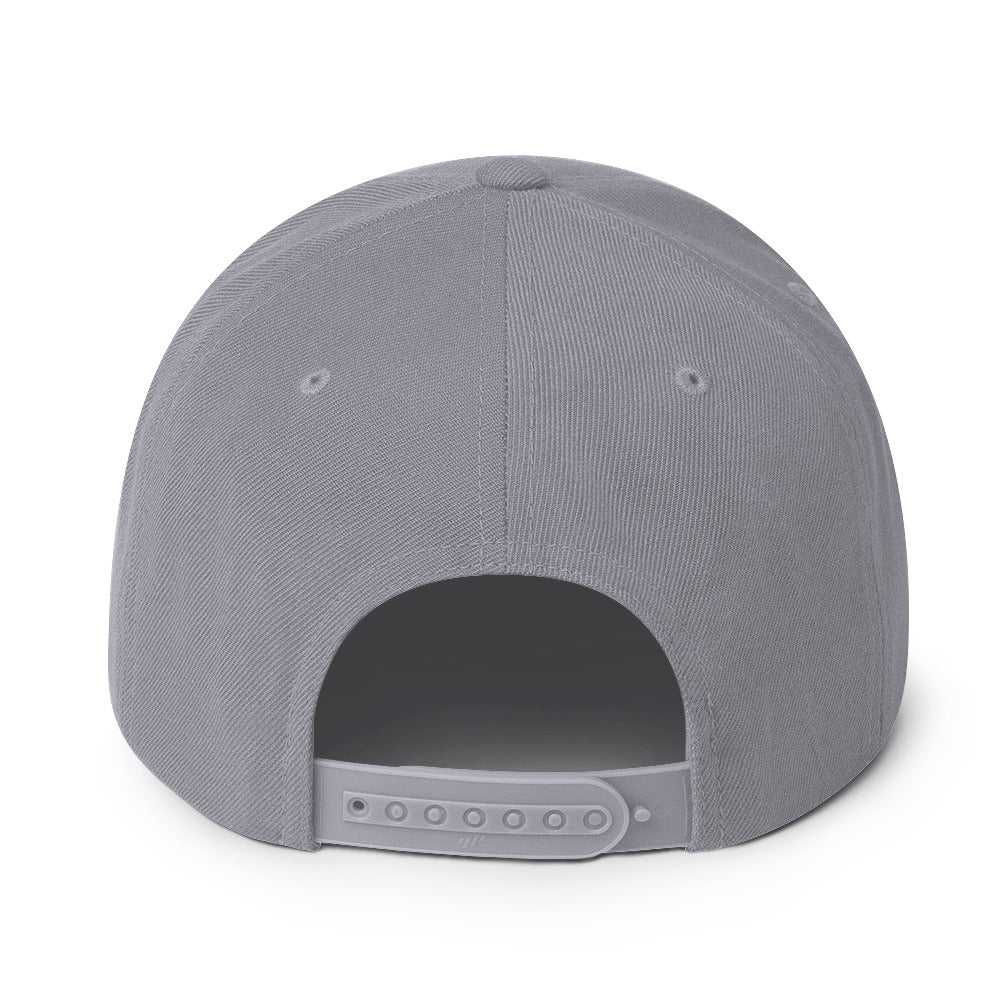 Grey/Black Snapback Hat