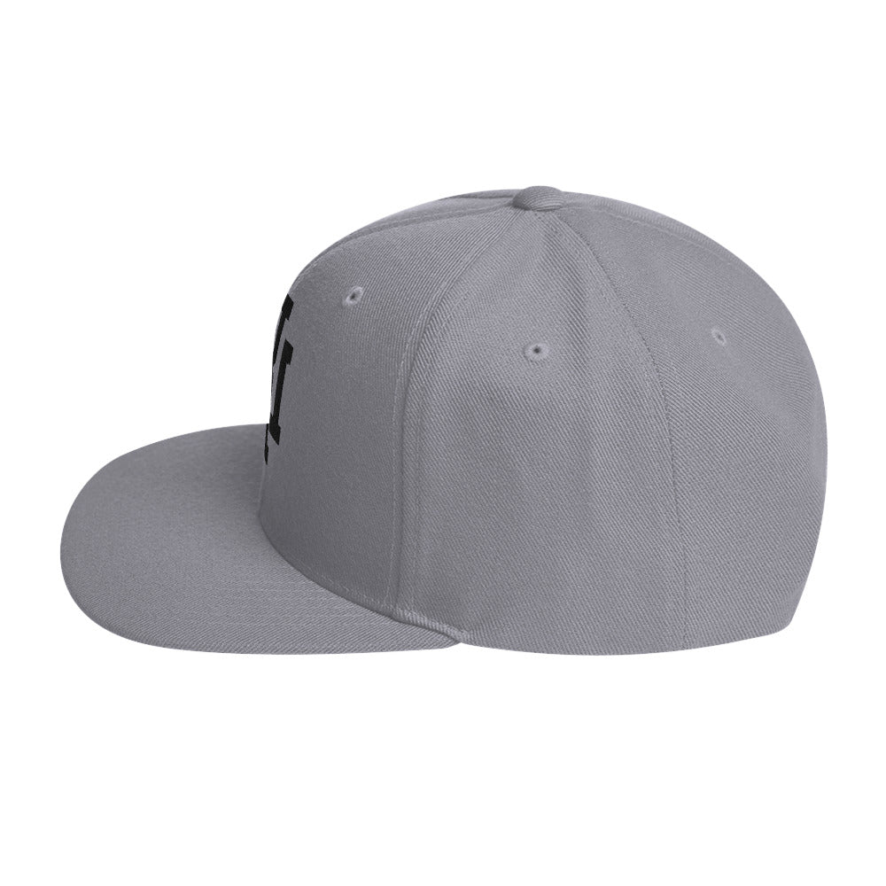 Grey/Black Snapback Hat