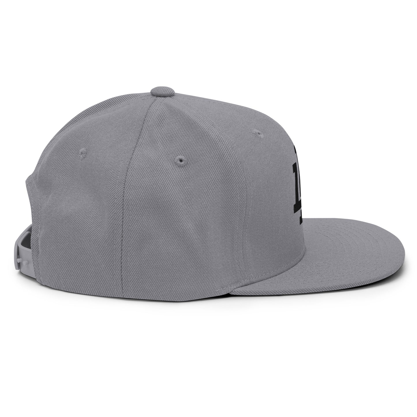 Grey/Black Snapback Hat