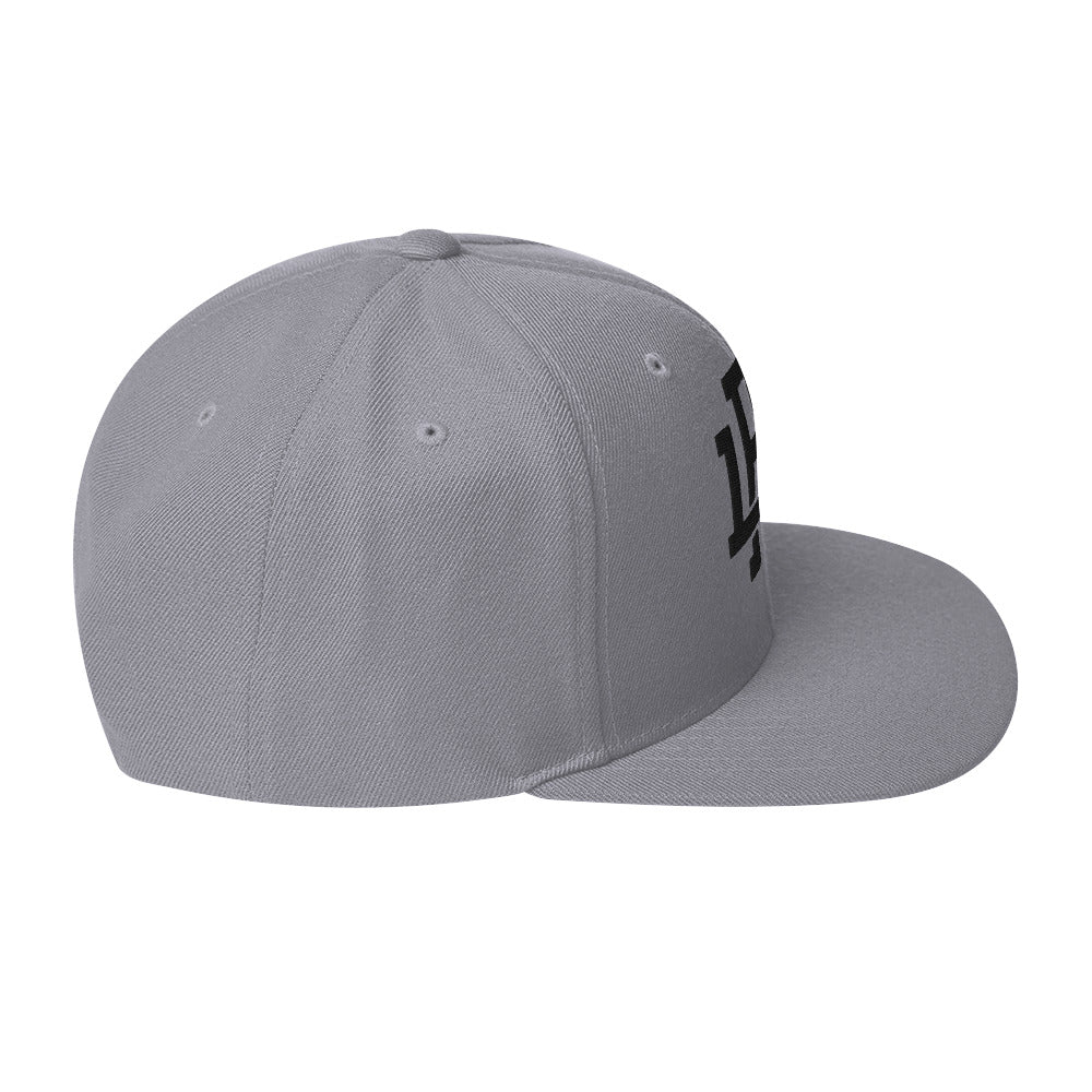 Grey/Black Snapback Hat